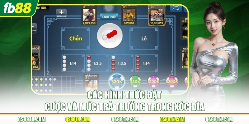 Các hình thức đặt cược và mức trả thưởng trong Xóc Đĩa