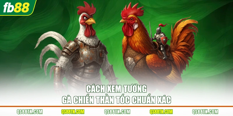 Cách xem tướng gà chiến thần tốc chuẩn xác