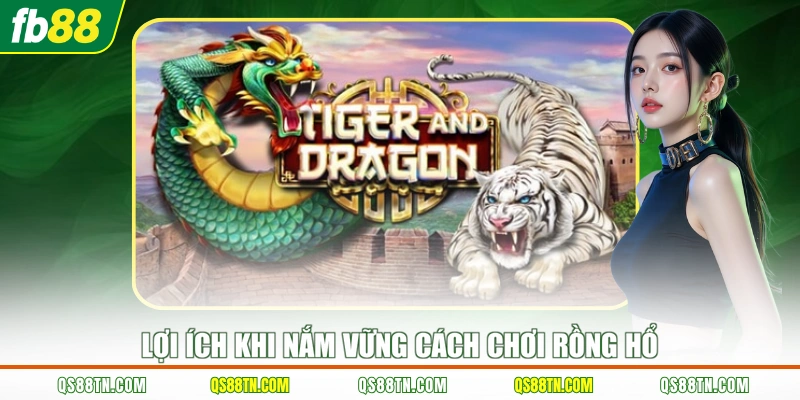 Lợi ích khi nắm vững cách chơi Rồng Hổ