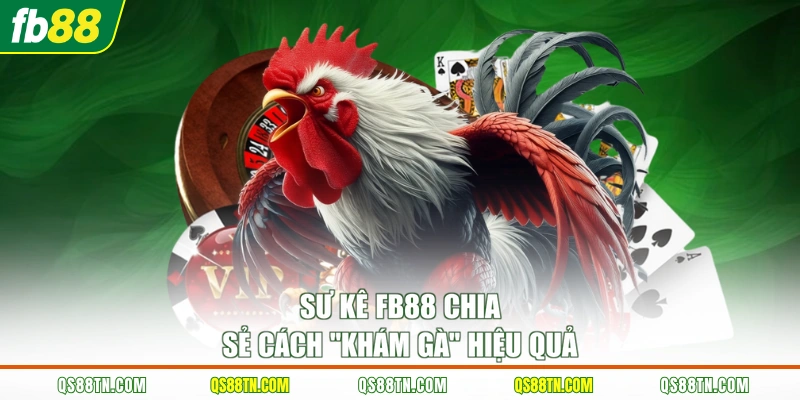 Sư kê FB88 chia sẻ cách “khám gà” hiệu quả